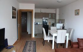 Exceptional Suite